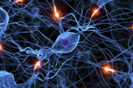 Biofísica para estudiantes de Medicina