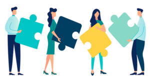 Conocimiento y desarrollo de la competencia