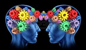 Relación de competencia experta