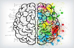Los factores no intelectuales y el desarrollo de la competencia.