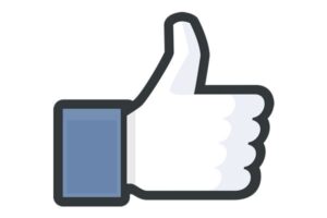 Principales características